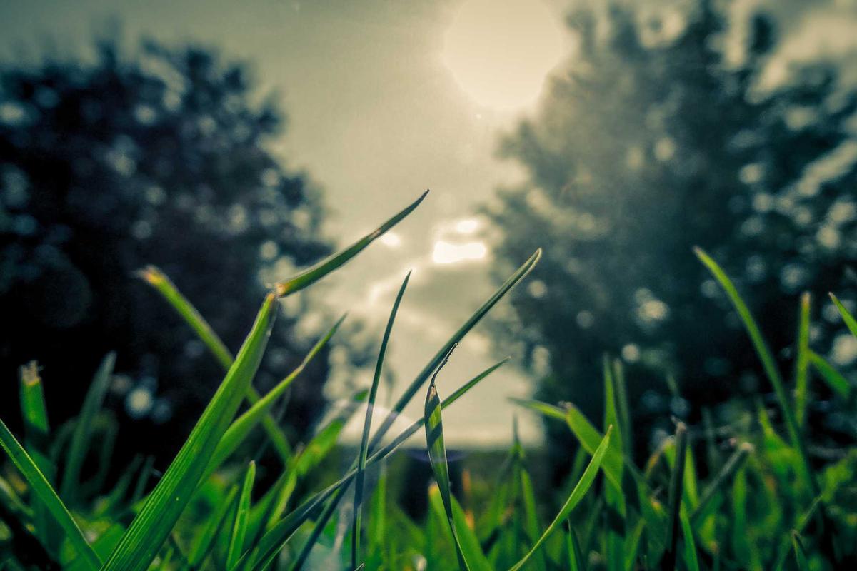 Qualcomm S5 Gen 3, Cip Audio Generasi Lanjut dengan Akselerasi AI & ANC Adaptif