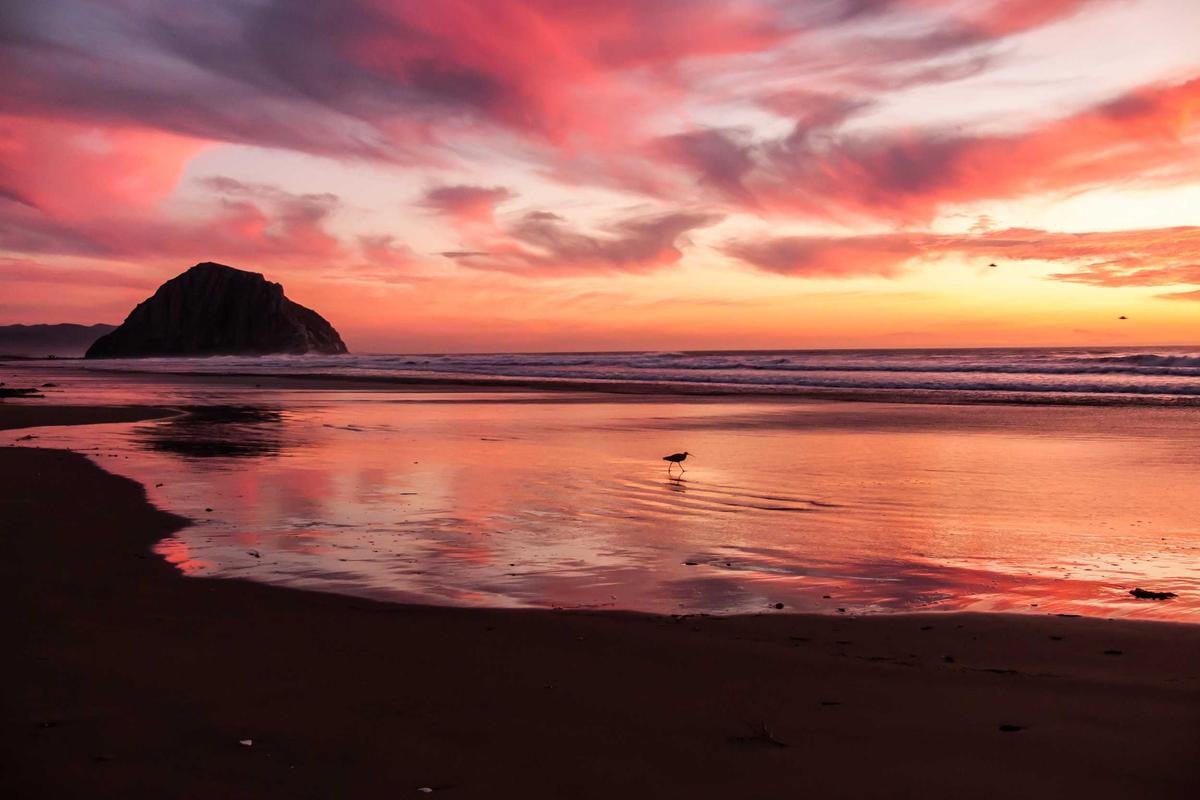 Qualcomm S5 Gen 3, Cip Audio Generasi Lanjut dengan Akselerasi AI & ANC Adaptif