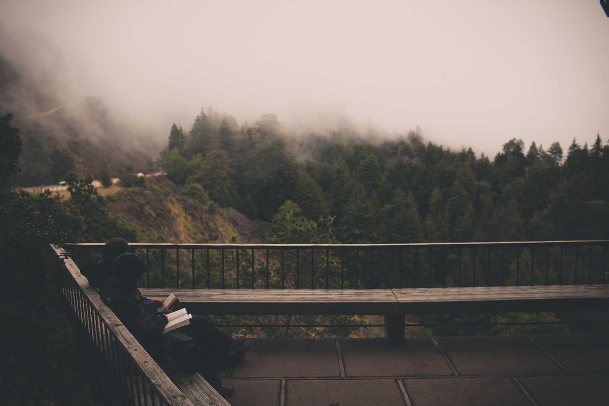 JBL Sense Pro Open-Ear: Earbuds Premium dengan Bass Kuat, Bone Conduction & Bluetooth 6.0