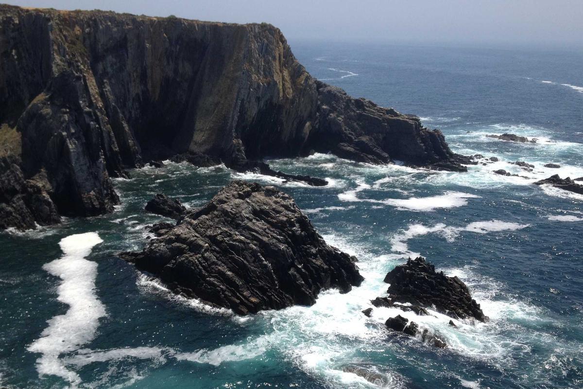 JBL Sense Pro Open-Ear: Earbuds Premium dengan Bass Kuat, Bone Conduction & Bluetooth 6.0