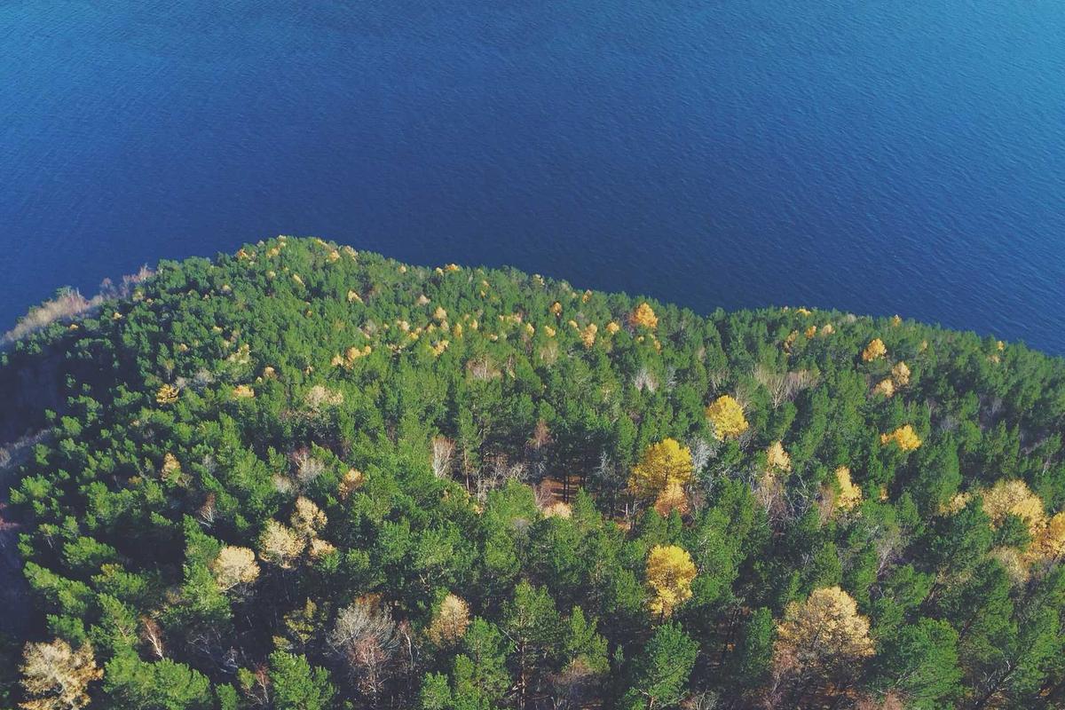 JBL Sense Pro Open-Ear: Earbuds Premium dengan Bass Kuat, Bone Conduction & Bluetooth 6.0