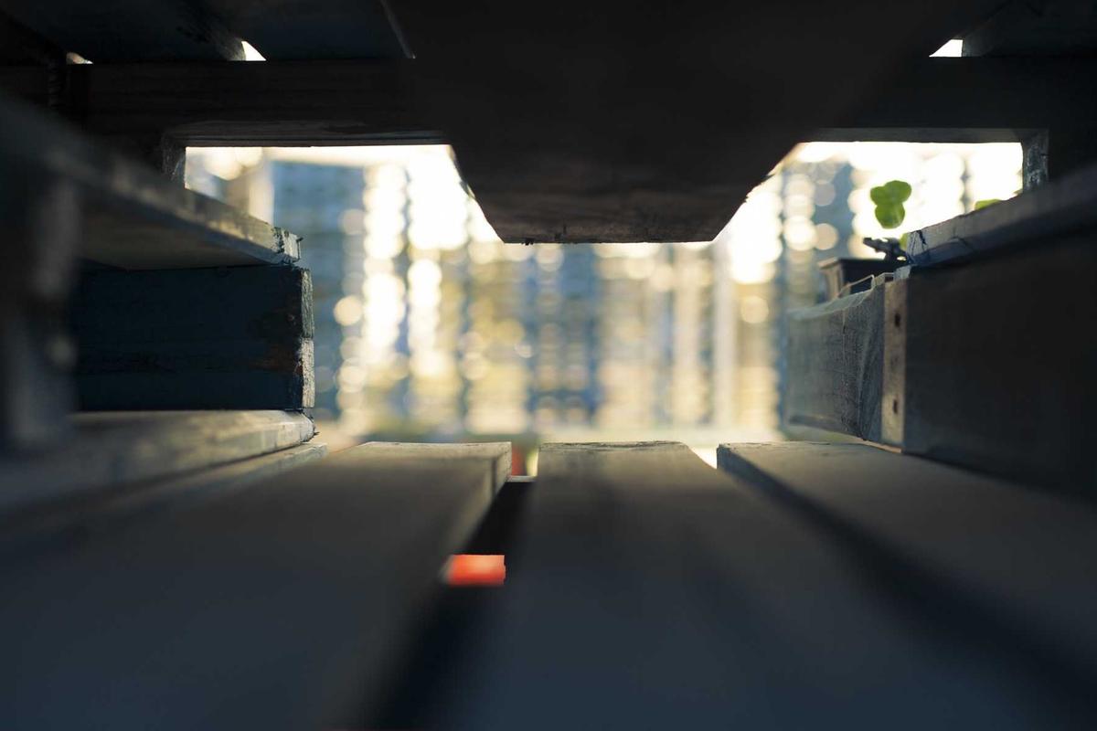 JBL Sense Pro Open-Ear: Earbuds Premium dengan Bass Kuat, Bone Conduction & Bluetooth 6.0